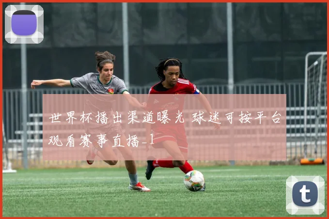 世界杯播出渠道曝光 球迷可按平台观看赛事直播_1