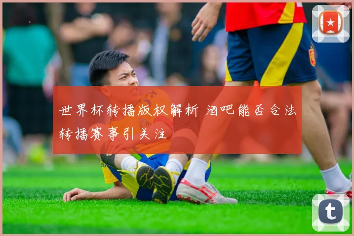 世界杯转播版权解析 酒吧能否合法转播赛事引关注